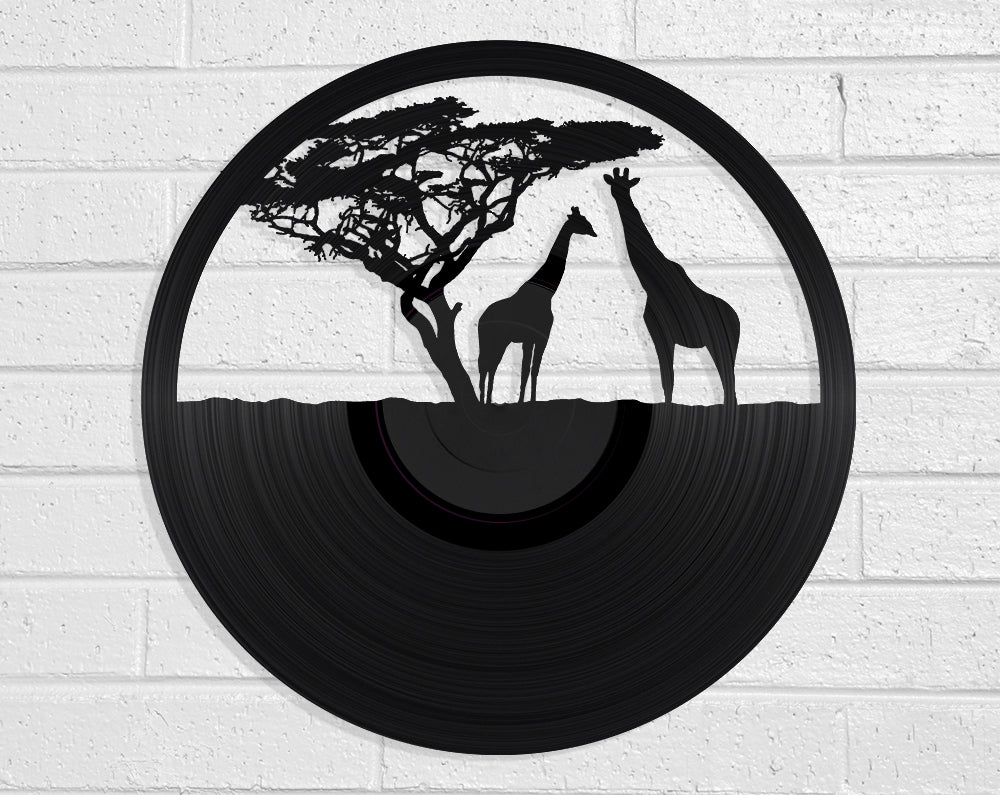 African Giraffes