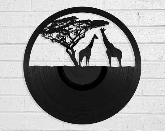 African Giraffes